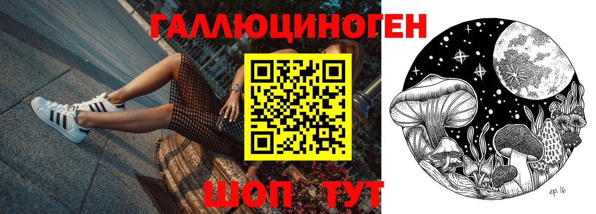 Галлюциногенные грибы GOLDEN TEACHER  Псилоцибиновые грибы MAGIC MUSHROOMS  Сочи  Вход с VPN 